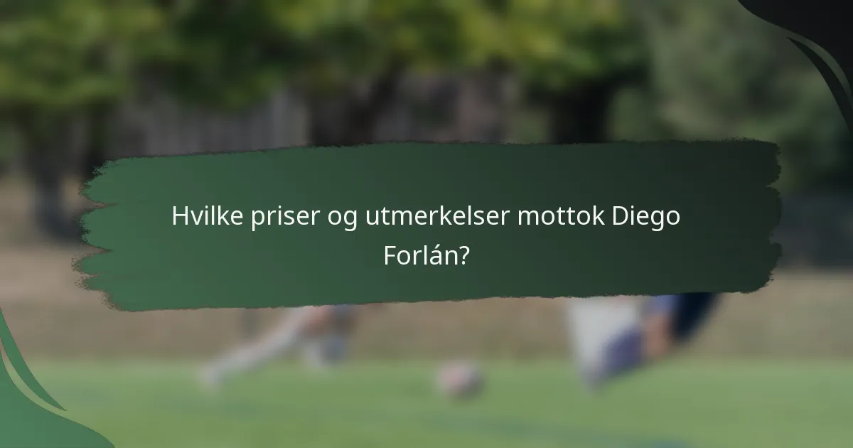 Hvilke priser og utmerkelser mottok Diego Forlán?